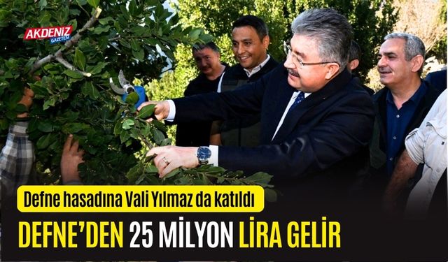 OSMANİYE'DE DEFNE YAPRAĞINDAN 25 MİLYON GELİR ELDE EDİLİYOR