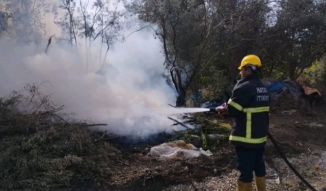 Zeytin bahçesinde korkutan yangın!