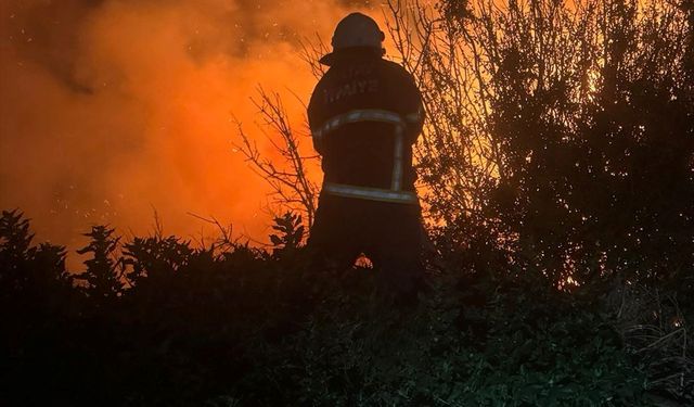 Hatay'da kamışlık alanda çıkan yangın korkuttu