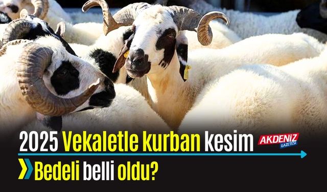 2025 Vekaletle Kurban Kesim Bedeli belli oldu