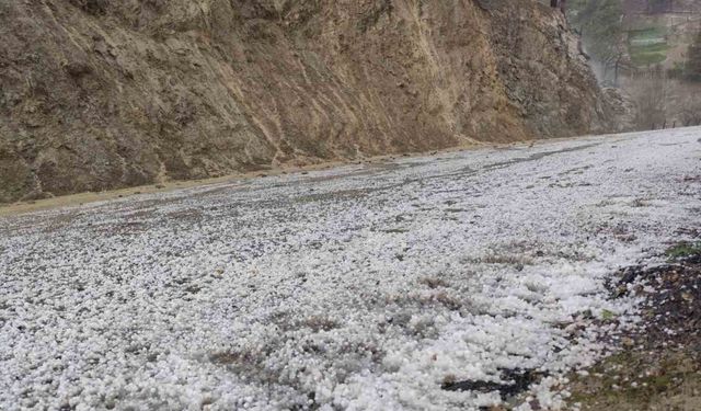 Adana’da 15 Dakikada Tarım Arazileri Beyaza Büründü