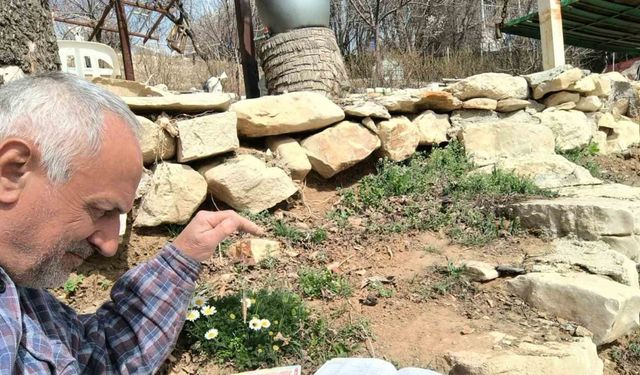 Frekanslarını ölçerek şifalı bitkileri araştırıyor, kayıt altına alıyor