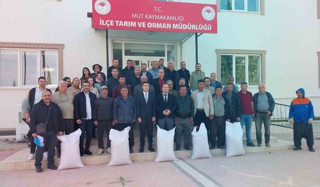 Mersin Mut’ta üreticiye tohum desteği