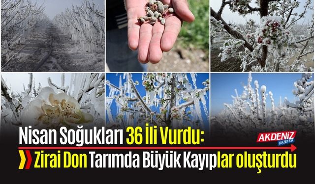 Nisan Soğukları 36 İli Vurdu: Zirai Don Tarımda Büyük Kayıplar oluşturdu
