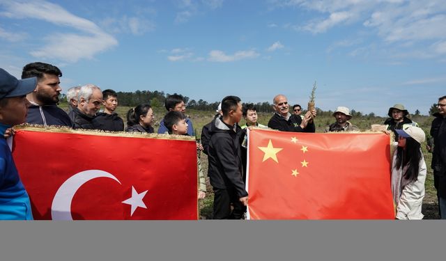 Türkiye-Çin dostluğunun sembolü 10 bin fidan toprakla buluştu
