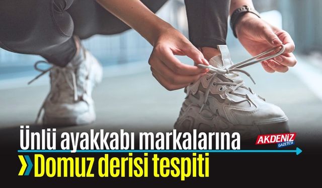 Ünlü Ayakkabı Markalarına Domuz Derisi Tespiti