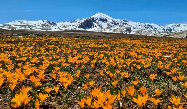Yüksek rakımlı Geyik Dağları hayran bırakıyor