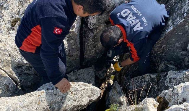 Zorlu Arazi Şartlarında Keçi Kurtarma Seferberliği