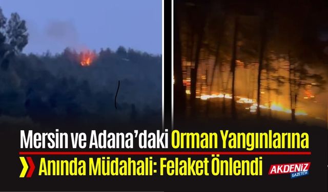 Mersin ve Adana’daki Orman Yangınlarına Anında Müdahale: Felaket Önlendi