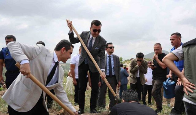 Adana'da Hâkim, Savcı ve Hükümlülerden Anlamlı Fidan Dikimi