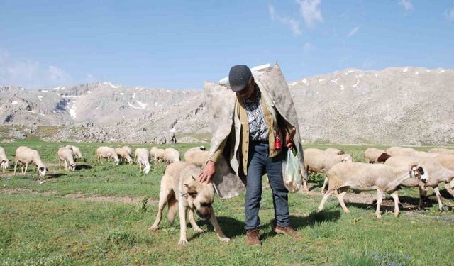 Antalya’da Yörüklerin yayla serüvenleri başladı