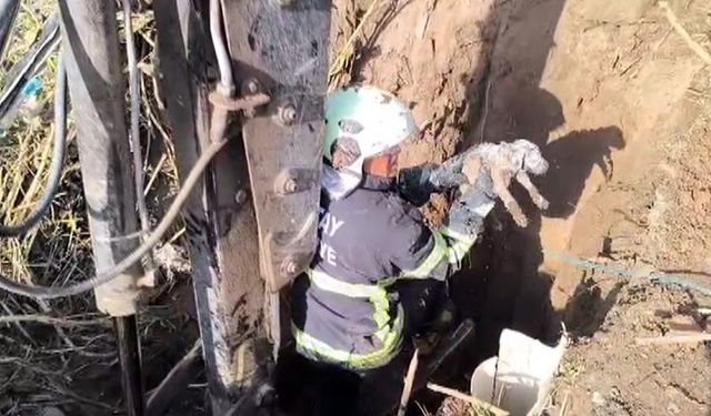 Hatay'da İtfaiye Kuyudan Yavru Köpeği Kurtardı