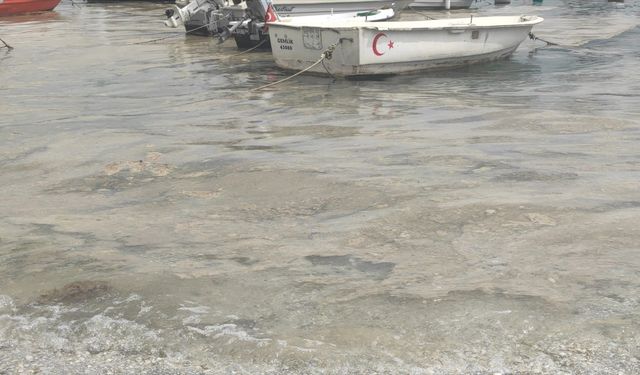 Marmara Denizi'nde Bursa kıyılarında müsilaj görüldü