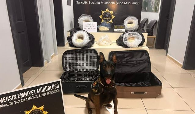 Narkotik ve İstihbarattan Ortak Operasyon