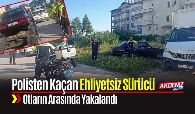 Polisten Kaçan Ehliyetsiz Sürücü Otların Arasında Yakalandı