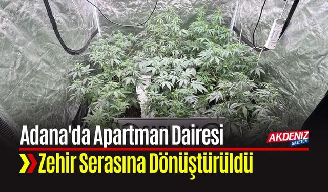 Adana'da Apartman Dairesi Zehir Serasına Dönüştürüldü