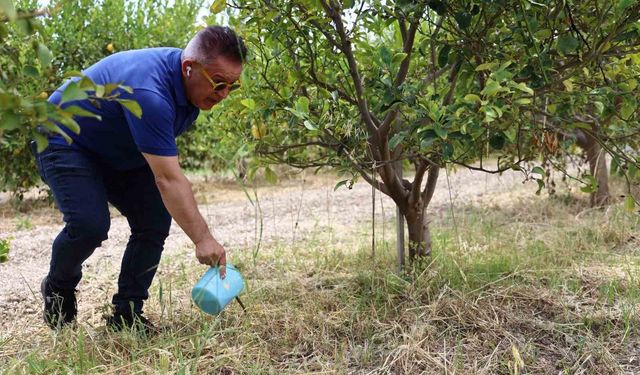 Antalya Büyükşehir Belediyesi'nden Bir İlk: Evsel Atıklardan Organik Gübre Üretimi