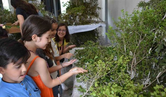 Antalya'da İpekböcekçiliği Yeniden Hayat Buluyor