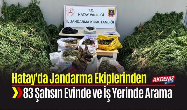 Hatay'da Jandarma Ekiplerinden 83 Şahsın Ev ve İş Yerlerinde Arama