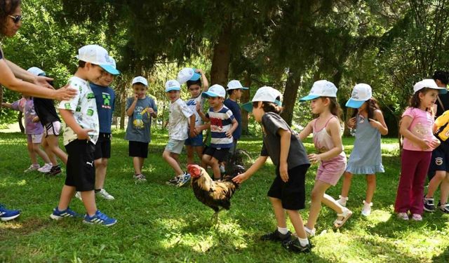 Minik Eller Denizli Horozu Üretimini Öğrendi