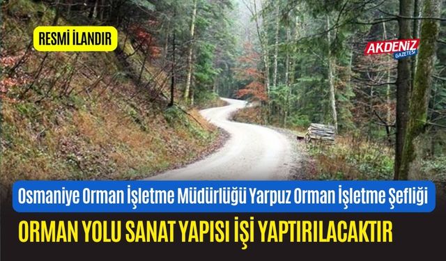 ORMAN YOLU SANAT YAPISI İŞİ YAPTIRILACAKTIR