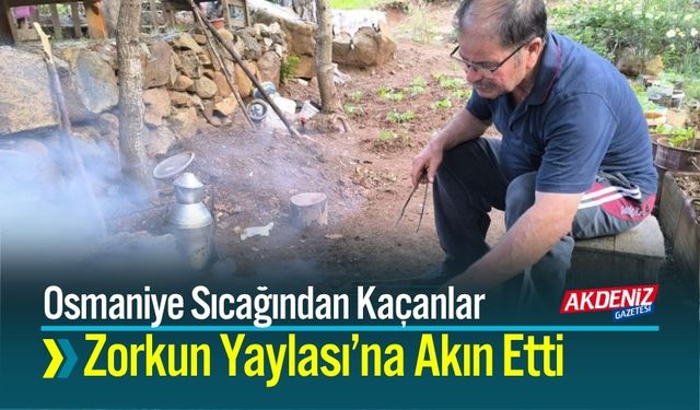 Osmaniye Sıcağından Kaçanlar Zorkun Yaylası’na Akın Etti
