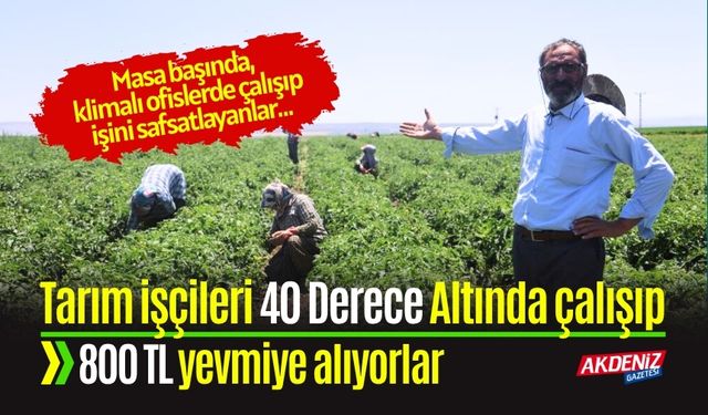 Tarım işçileri 40 Derece Altında çalışıp 800 TL alıyorlar