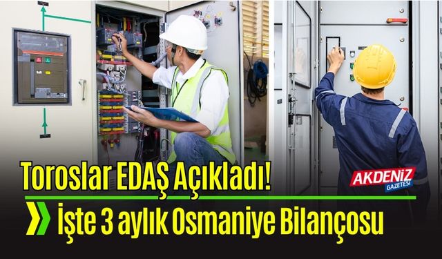 Osmaniye'nin Enerji Altyapısı Güçleniyor