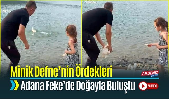 Adana Feke’de “Defne’nin Ördekleri” Barajla Buluştu