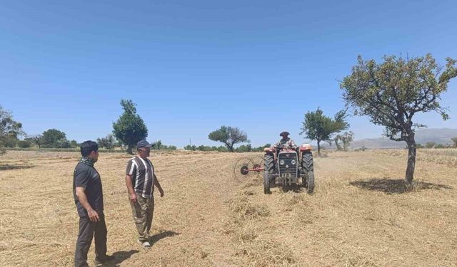 Beyşehir’de Hibe Destekli Yem Bitkisi Hasadı