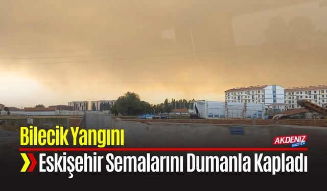 Bilecik Yangını Sarıcakaya’da Gökyüzünü Dumanla Kapladı