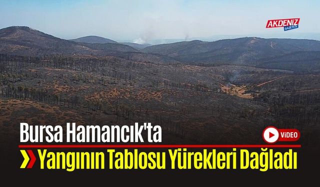 Bursa Hamancık'ta Yangının Tablosu Yürekleri Dağladı