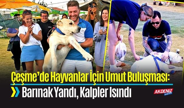 Çeşme’de Hayvanlar İçin Umut Buluşması: Barınak Yandı, Kalpler Isındı