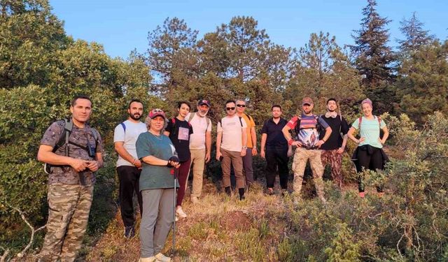 Eskişehir Kent Ormanı'nda Doğanın Gösterisi Renkli Oldu