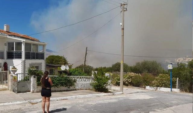 İzmir Çeşme'de Otluk Alan Yangını Rüzgarla Büyüdü