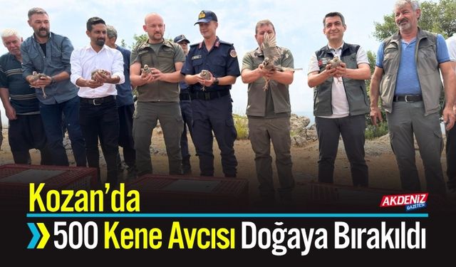 Kozan’da 500 Kene Avcısı Doğaya Bırakıldı