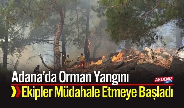 Adana'da  Orman Yangını: Ekipler Müdahale Etmeye Başladı
