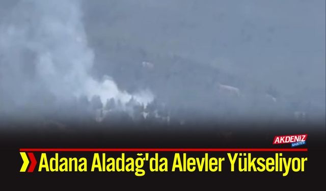 Adana Aladağ'da Alevler Yükseliyor