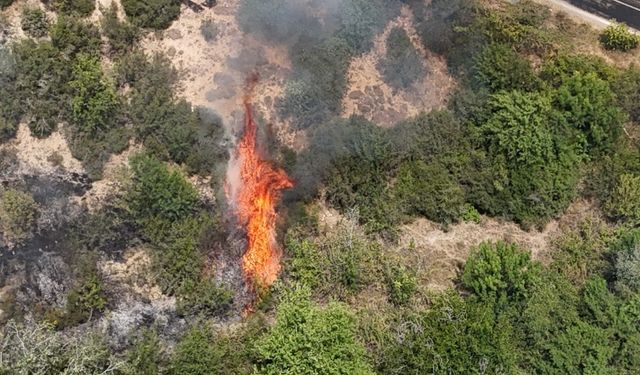 Sıcaklıklar Rekor Kıracak: 8 İlde Yangın Riski En Üst Seviyede