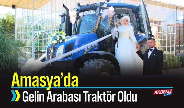 Isparta'nın Karanfili Avrupa Yolcusu