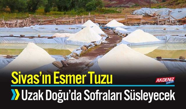 Sivas’ın Esmer Tuzu Uzak Doğu’da Sofraları Süsleyecek