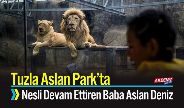 Tuzla Aslan Park’ta Nesli Devam Ettiren Baba Aslan Deniz