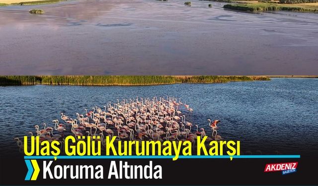 Ulaş Gölü Kurumaya Karşı Koruma Altında