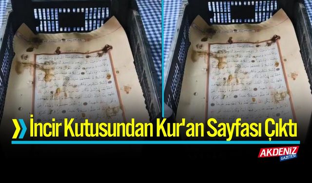 İncir Kutusundan Kur'an Sayfası Çıktı