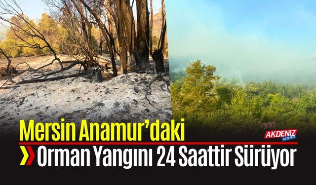 Mersin Anamur’daki Orman Yangını 24 Saattir Sürüyor