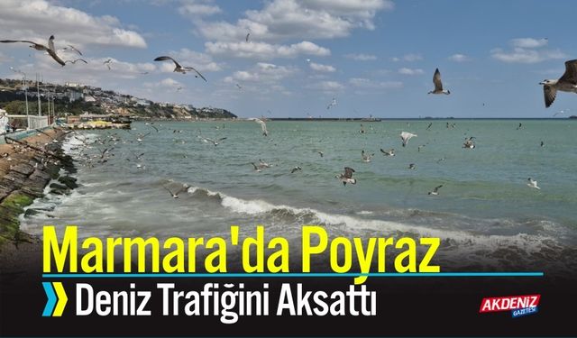 Marmara'da Poyraz Deniz Trafiğini Aksattı