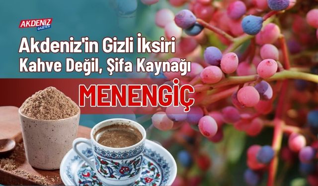 Akdeniz'in Gizli İksiri: Kahve Değil, Şifa Kaynağı Menengiç