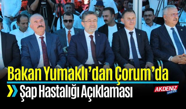 Bakan Yumaklı’dan Çorum’da Şap Hastalığı Açıklaması