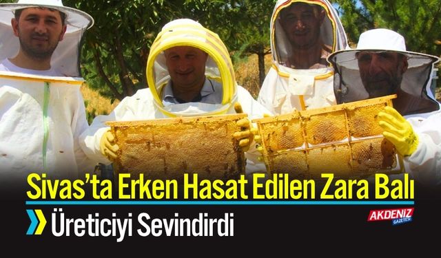Sivas’ta Erken Hasat Edilen Zara Balı Üreticiyi Sevindirdi