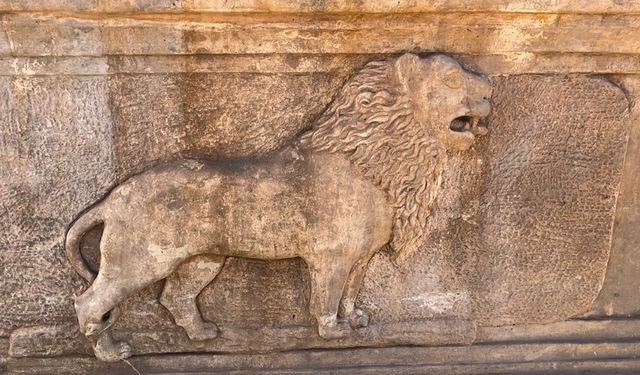 Ağrı’da ele geçirilen lahitlerin sahte olduğu belirlendi